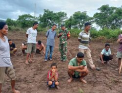 Jelang Kejurkab, Babinsa Bantu Warga Pembersihan Lokasi Pacuan Kuda